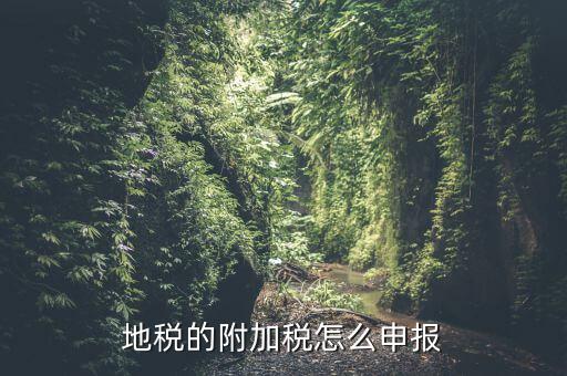什么是附加稅申報，地稅的附加稅怎么申報