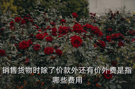 什么叫價(jià)外費(fèi)用，屬于價(jià)外費(fèi)用的是什么