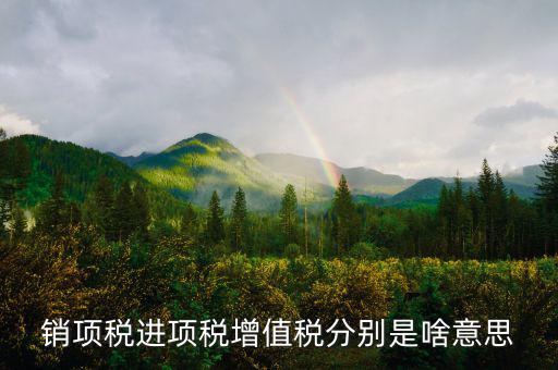 什么是銷項(xiàng)和進(jìn)項(xiàng)，進(jìn)項(xiàng)稅和銷項(xiàng)稅是什么意思