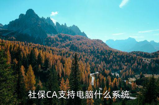 ca控件什么系統(tǒng)，社保CA支持電腦什么系統(tǒng)