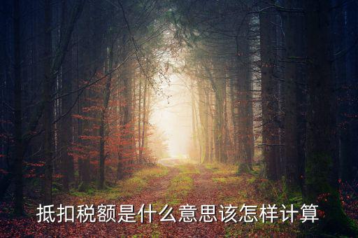 抵免稅額是什么意思，抵扣稅額是什么意思該怎樣計(jì)算