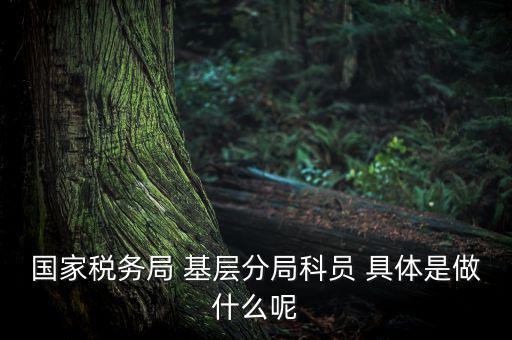 國地稅征管改革黨員干部干什么，國家稅務(wù)局 基層分局科員 具體是做什么呢