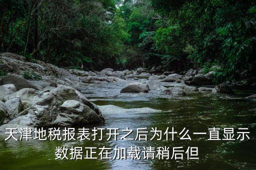 天津地稅為什么，天津地稅報表打開之后為什么一直顯示數(shù)據(jù)正在加載請稍后但