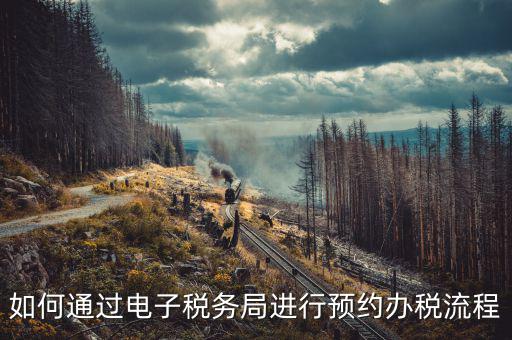 國稅局預(yù)約有什么，拿金稅盤去國稅前臺弄要預(yù)約嗎
