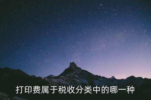 打字復(fù)印是什么稅種，我在鄉(xiāng)鎮(zhèn)辦了一家打字復(fù)印店請問需交納哪些稅