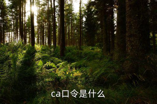 ca證書驗(yàn)證口令是什么，ca口令是什么