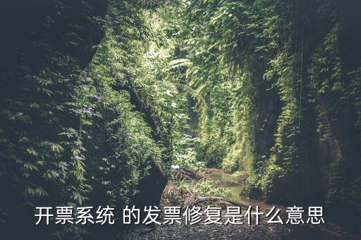開(kāi)票系統(tǒng) 的發(fā)票修復(fù)是什么意思