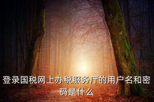 國稅默認(rèn)賬號是什么意思，你好我想問你 一下 網(wǎng)上國稅的用戶名和密碼是什么