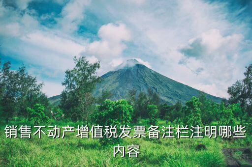 不動產(chǎn)開具專票必須備注什么，非房地產(chǎn)企業(yè)不動產(chǎn)開票是否需備注詳細(xì)地址