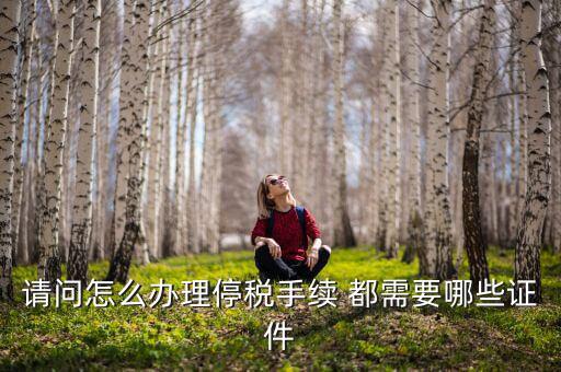 停供發(fā)票需要注意什么手續(xù)，停國稅要怎么辦理 要什么手續(xù)