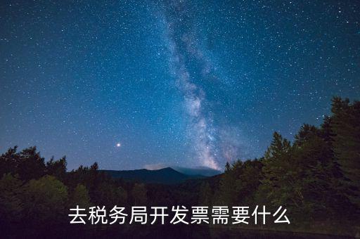 去稅務局開發(fā)票需要什么