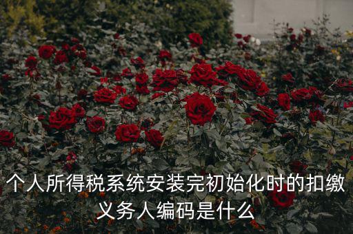 扣繳人義無編碼是什么，扣繳義務人編碼是什么