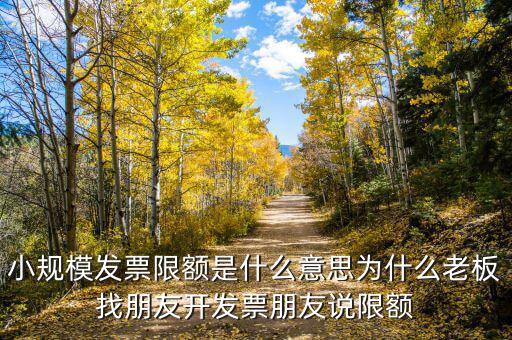 發(fā)票機(jī)為什么限額，稅控機(jī)顯示發(fā)票超出累計(jì)限額是什么原因