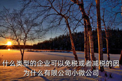 什么樣的企業(yè)可免稅，請問什么樣的公司可以得到免稅