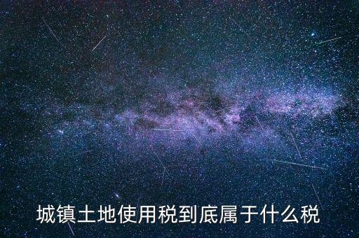 城鎮(zhèn)土地使用稅屬于什么稅種，城鎮(zhèn)土地使用稅到底屬于什么稅