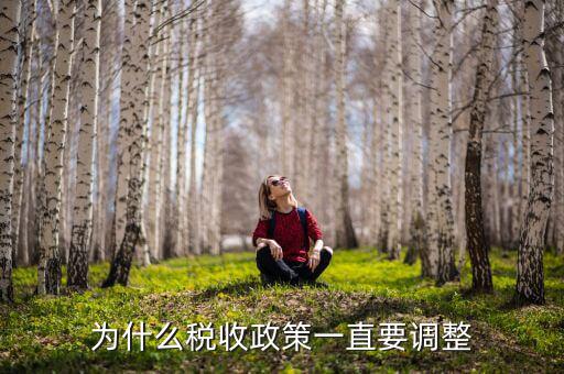 為什么進行納稅調(diào)整，我國為什么要進行個人所得稅調(diào)整高中政治
