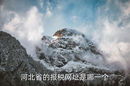 河北稅務(wù)官網(wǎng)是什么，怎么打開(kāi)河北省國(guó)稅網(wǎng)站