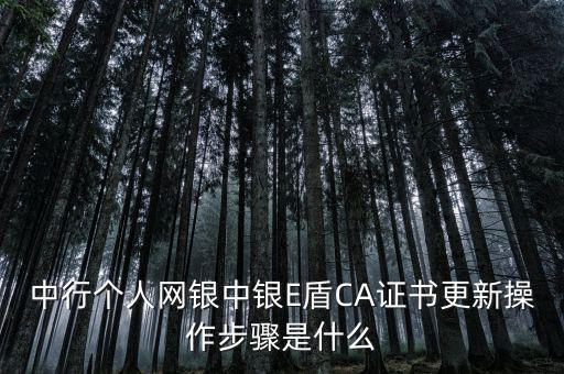 升級(jí)ca需要什么，CA證書(shū)怎么從副盤(pán)升級(jí)成正盤(pán)