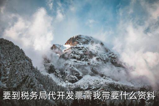 個(gè)人稅務(wù)局代開(kāi)發(fā)需要什么資料，稅局代開(kāi)發(fā)發(fā)票需要帶什么資料