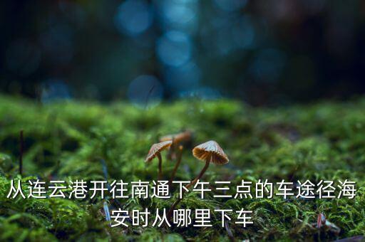 連云港到南通經(jīng)過(guò)什么地方，從連云港開(kāi)往南通下午三點(diǎn)的車途徑海安時(shí)從哪里下車