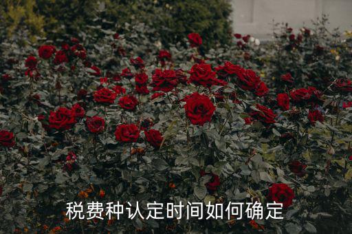 稅種認定后什么時間申報，稅務局變更稅費種認定變更后多久可以可以報稅