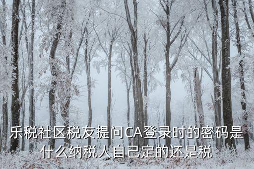 什么是國(guó)稅ca密碼，樂(lè)稅社區(qū)稅友提問(wèn)CA登錄時(shí)的密碼是什么納稅人自己定的還是稅
