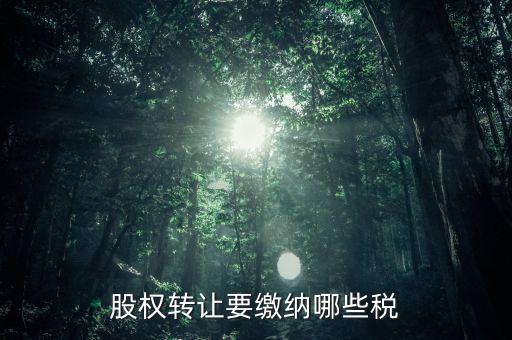 公司轉讓股權交什么稅，股權轉讓要繳納哪些稅