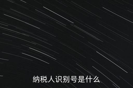 山西國稅納稅人識別號是什么，納稅人識別號是什么