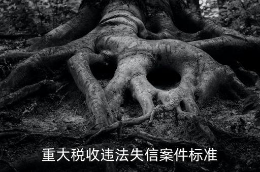 重大稅收違法是什么意思，實(shí)名辦稅黑名單納稅人是什么意思