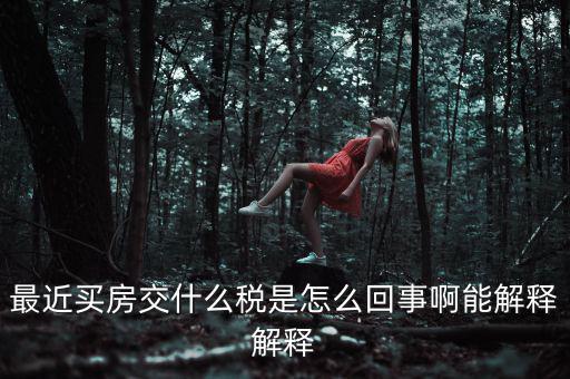 最近買(mǎi)房交什么稅是怎么回事啊能解釋解釋