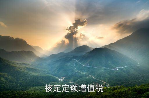 核定定額什么意思，什么叫上網(wǎng)電量和核定的定額稅率