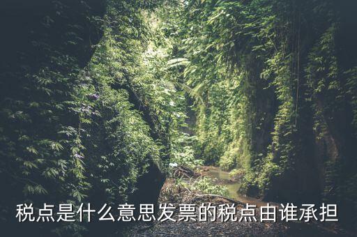 稅點由什么決定，稅點是什么意思