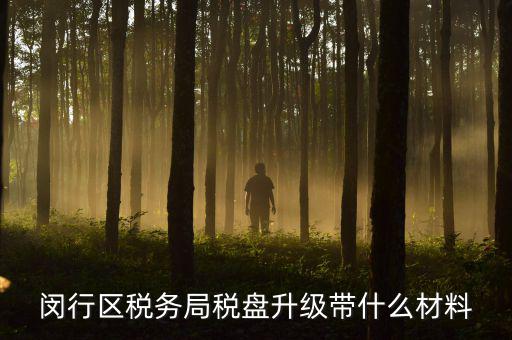 去升級稅控盤要帶什么，去國稅稅控盤升級需要帶哪些材料