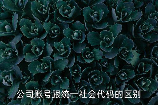 賬號上的統(tǒng)一社會代碼是什么意思，統(tǒng)一社會信用代碼有什么用