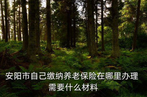 安陽地稅局交個人保險在什么地方，安陽市醫(yī)保交費在哪里地稅局