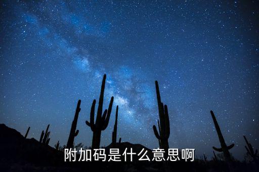 遼寧查發(fā)票有一個(gè)附加碼是什么，發(fā)票真?zhèn)尾樵兇a是什么