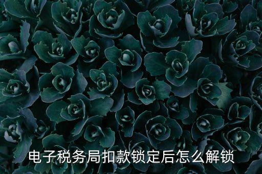 電子稅務局扣款鎖定后怎么解鎖