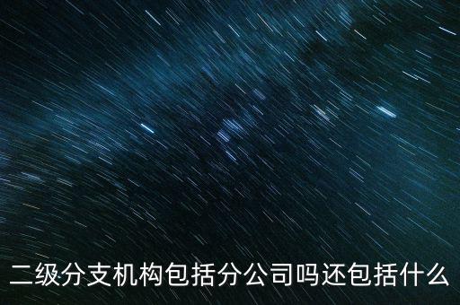什么是二級(jí)分支機(jī)構(gòu)，現(xiàn)在分公司要辦稅務(wù)登記證但是我想問(wèn)一下二級(jí)分機(jī)構(gòu)指的是