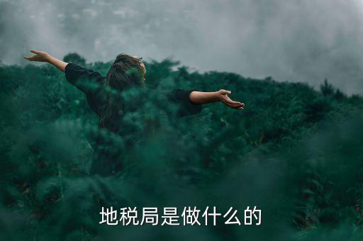 地稅所 是什么機(jī)構(gòu)，地稅局是干什么的