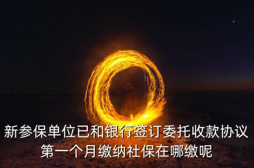 什么時(shí)候辦理授權(quán)劃繳協(xié)議，如何取得委托銀行劃轉(zhuǎn)地方稅費(fèi)授權(quán)書協(xié)議書去銀行還是去地稅