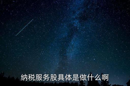 納稅服務(wù)股是什么意思，納稅服務(wù)股具體是做什么啊