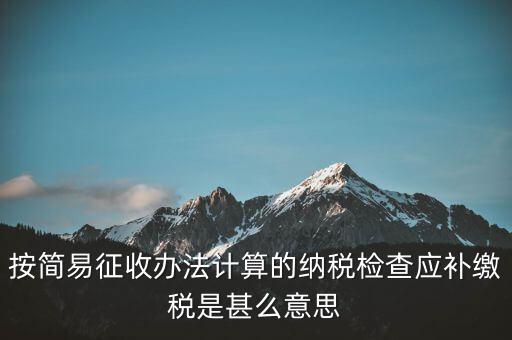 簡(jiǎn)易征收什么意思，按簡(jiǎn)易征收辦法計(jì)算的納稅檢查應(yīng)補(bǔ)繳稅是甚么意思