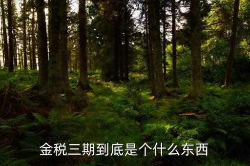 金三上線是什么意思，什么是稅務金山系統(tǒng)