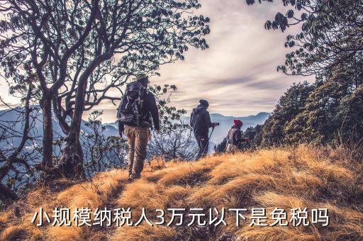 3萬以下免稅是什么意思，小規(guī)模納稅人3萬元以下是免稅嗎
