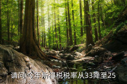請(qǐng)問 今年所得稅稅率從33降至25