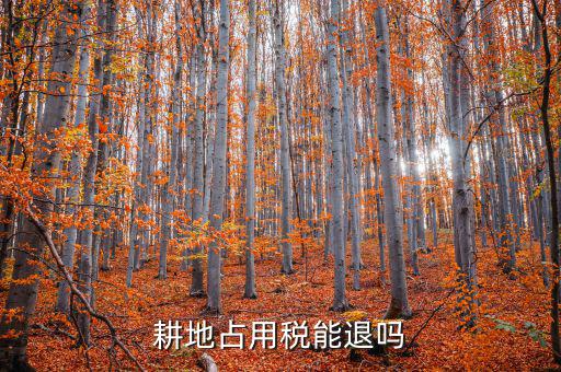 耕地占用稅什么情況可以退，占用耕地罰款后拆遷還能退嗎