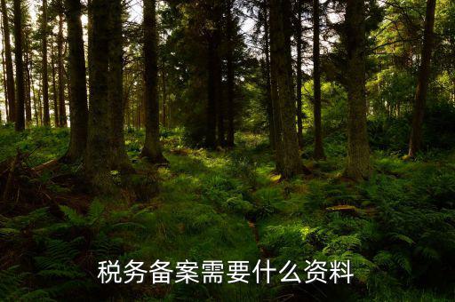 消費稅免稅備案需要帶什么資料，理跨境服務(wù)免稅備案手續(xù)時需要提交哪些資料