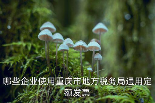 定額發(fā)票什么行業(yè)，哪些企業(yè)能買手撕定額發(fā)票小規(guī)模生產(chǎn)企業(yè)已經(jīng)開了普通發(fā)票能買