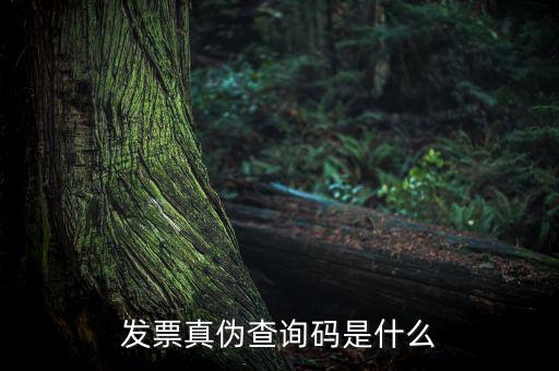 網(wǎng)絡(luò)發(fā)票查詢號是什么，發(fā)票真?zhèn)尾樵兇a是什么