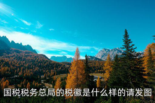 國稅稅務(wù)總局的稅徽是什么樣的請(qǐng)發(fā)圖